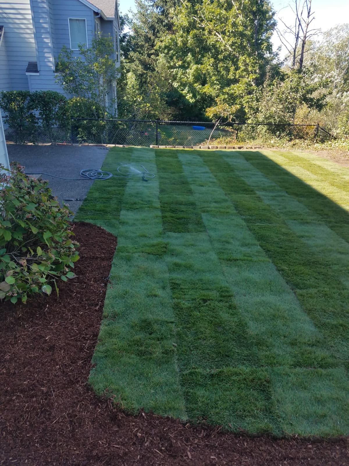 SOD & GRASS INSTALLATION